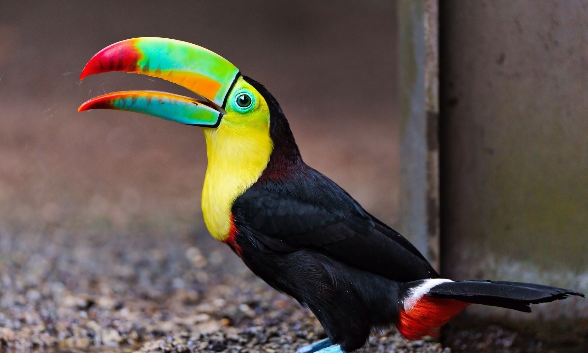 tourisme panama
