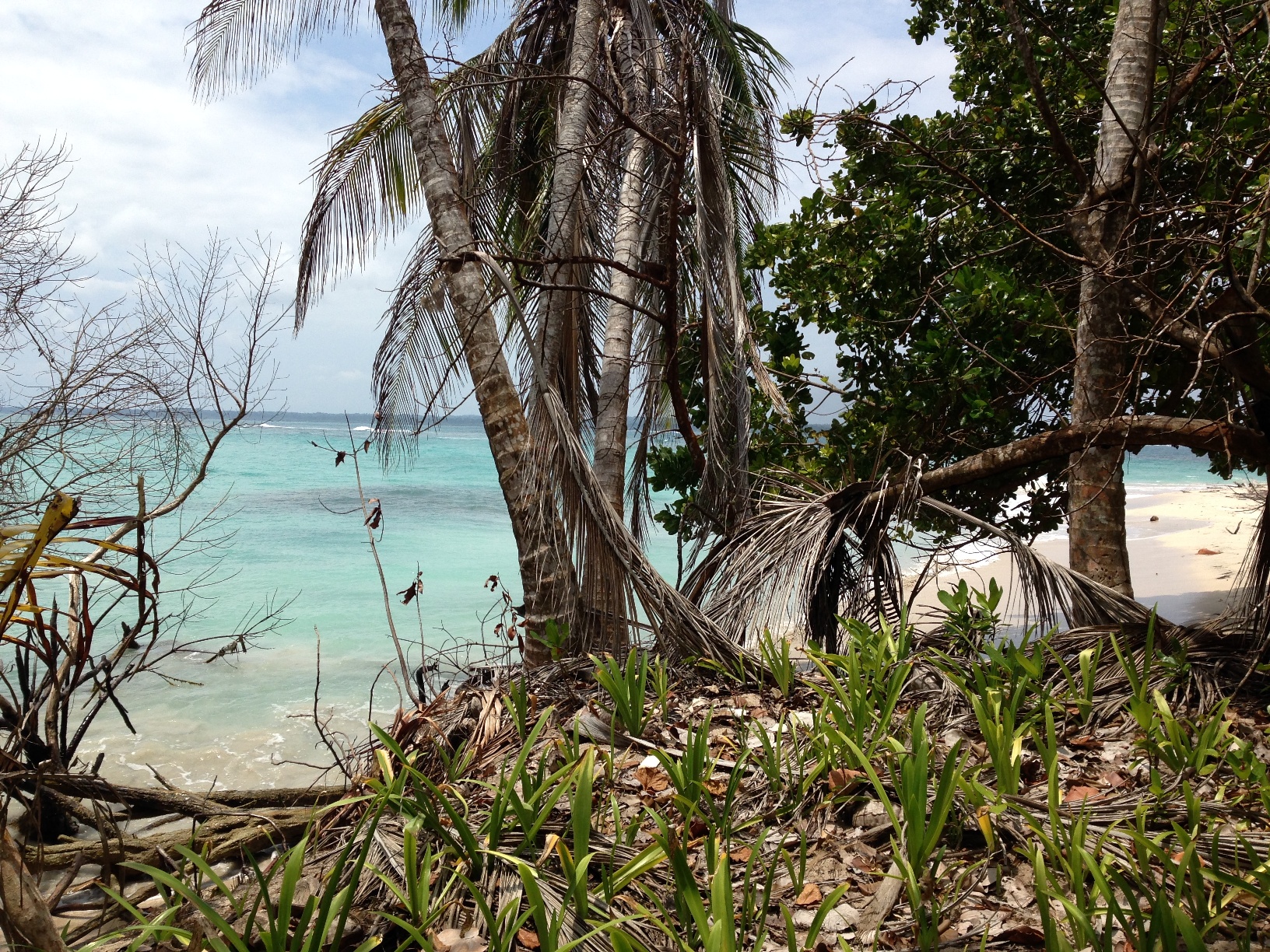 retraite au panama