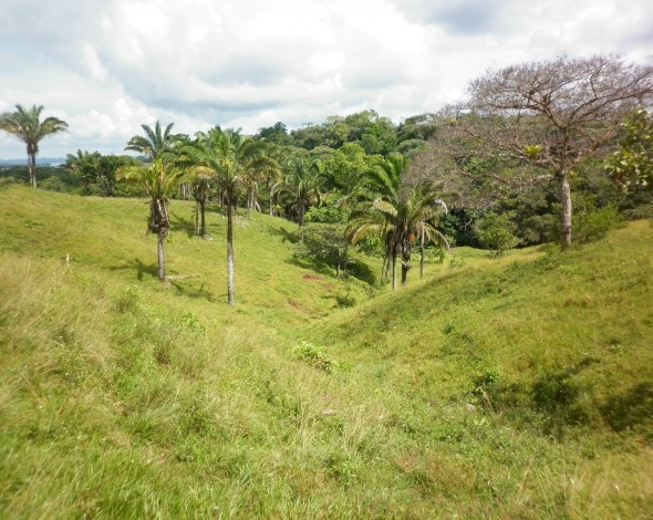 Lago Gatun DH (12)