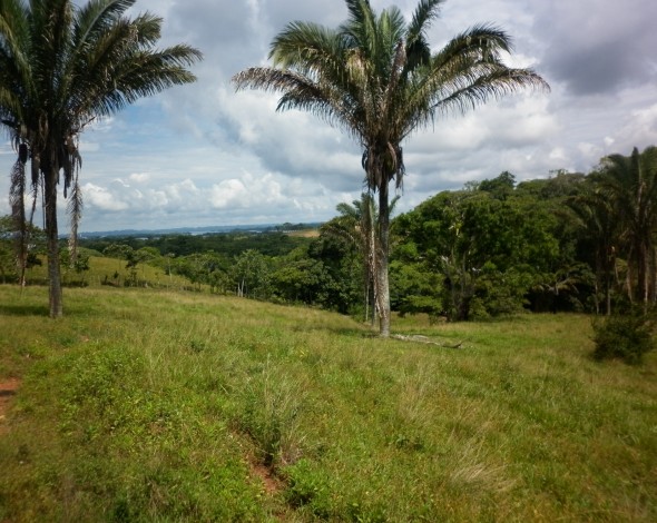 Lago Gatun DH (14)