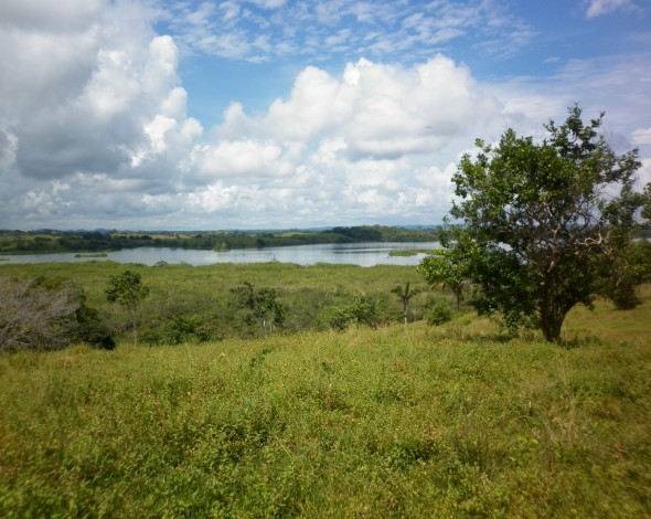 Lago Gatun DH (19)