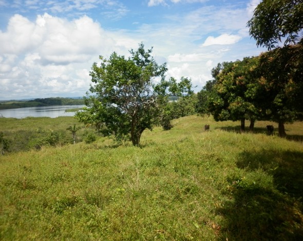 Lago Gatun DH (20)