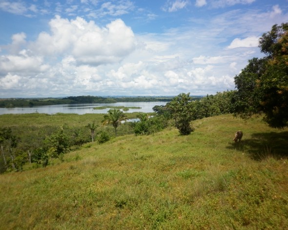 Lago Gatun DH (22)