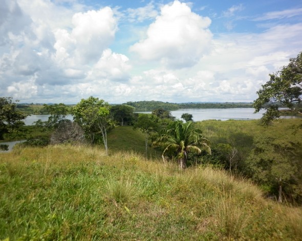 Lago Gatun DH (26)