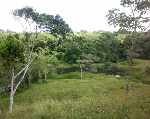 Lago Gatun DH (27)