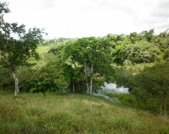 Lago Gatun DH (28)