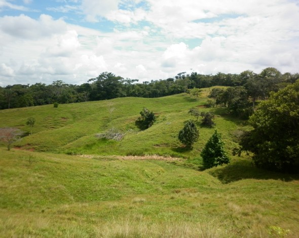 Lago Gatun DH (7)