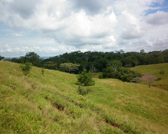 Lago Gatun DH (9)